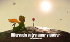 Diferencia entre querer y amar (El Principito)