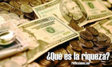 ¿Que es la riqueza?