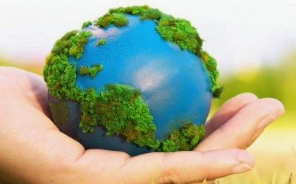 Frases sobre el cuidado del medio ambiente